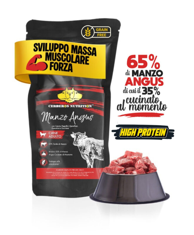 Manzo Angus