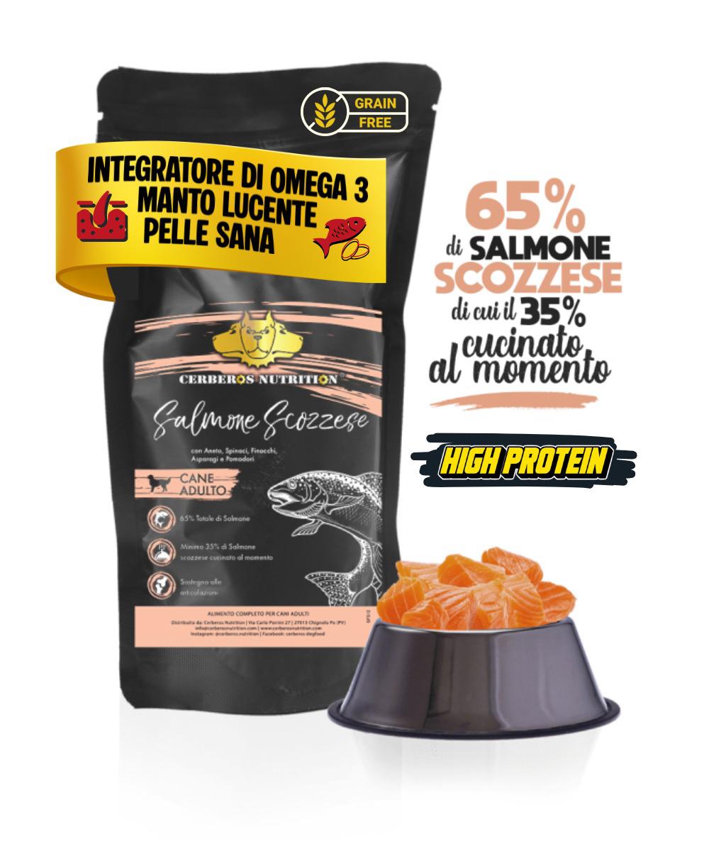 Salmone Scozzese