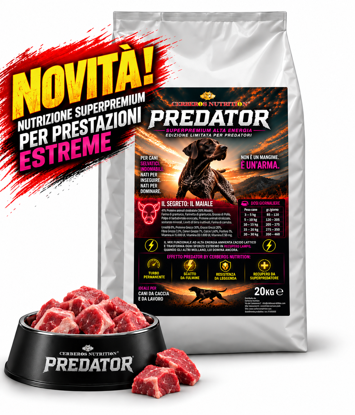Predator Maiale